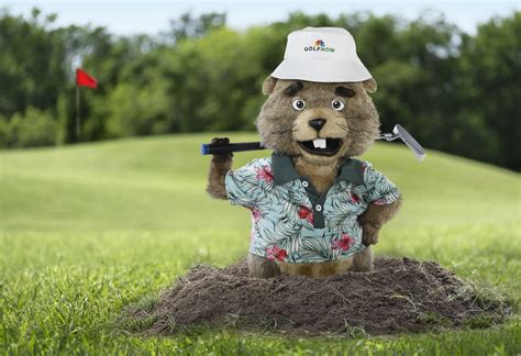 gopher gold|gopher grade.